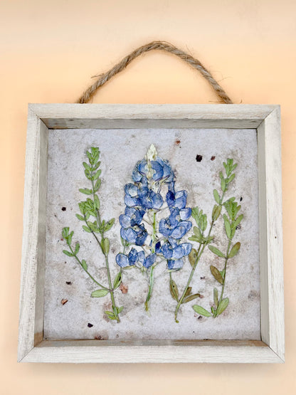 Shadow Box Bluebonnet 5x5